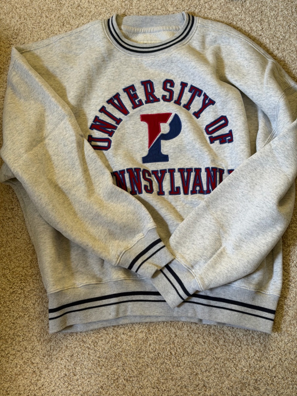 Hollister Crewneck Sweatshirt University of Pennsylvania - Large